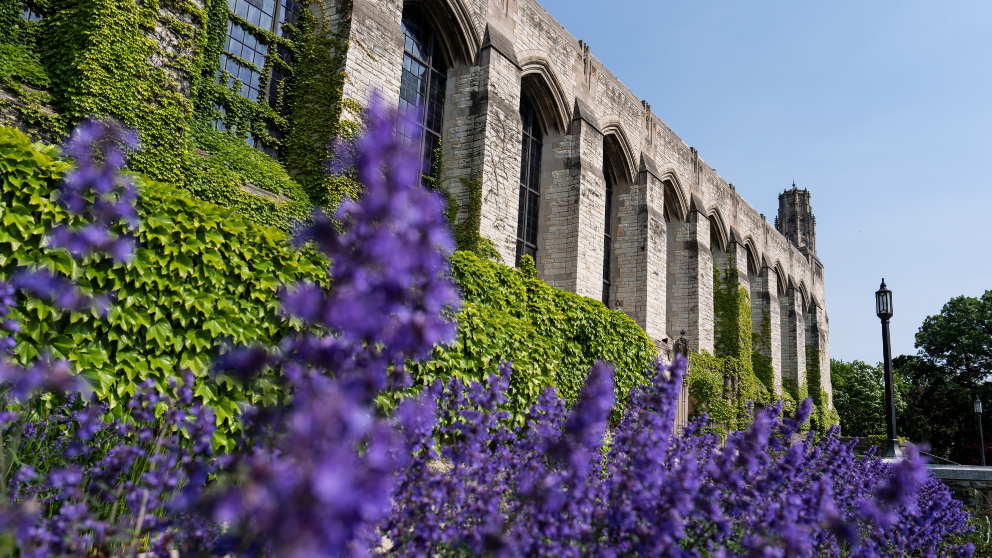 Northwestern Women's Basketball news